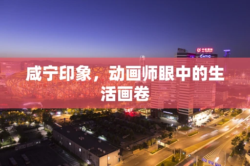 咸宁印象，动画师眼中的生活画卷