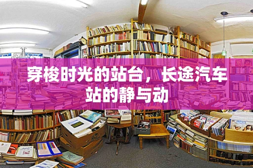 穿梭时光的站台，长途汽车站的静与动