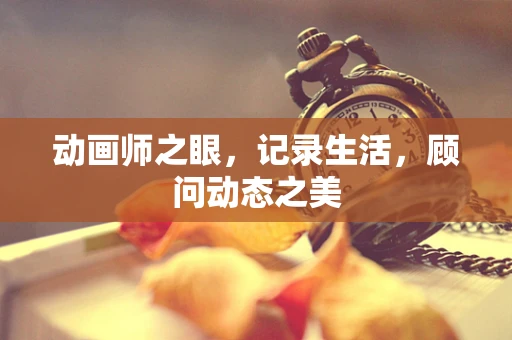 动画师之眼，记录生活，顾问动态之美