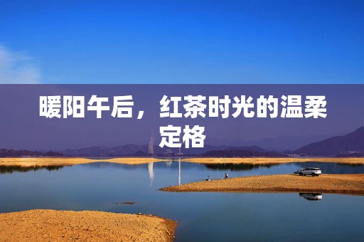 暖阳午后，红茶时光的温柔定格
