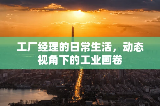 工厂经理的日常生活，动态视角下的工业画卷