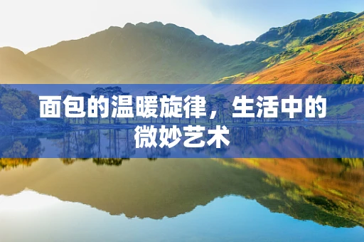 面包的温暖旋律，生活中的微妙艺术