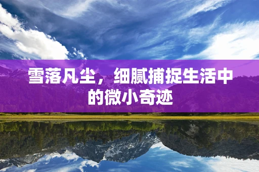 雪落凡尘，细腻捕捉生活中的微小奇迹
