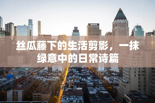 丝瓜藤下的生活剪影，一抹绿意中的日常诗篇