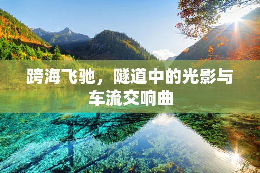 跨海飞驰，隧道中的光影与车流交响曲