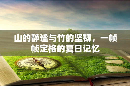 山的静谧与竹的坚韧，一帧帧定格的夏日记忆