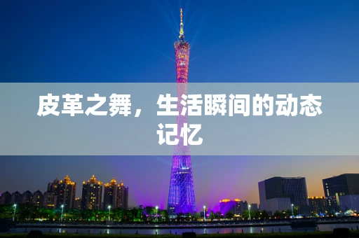 皮革之舞，生活瞬间的动态记忆