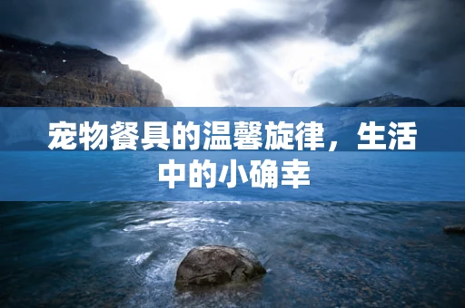 宠物餐具的温馨旋律，生活中的小确幸