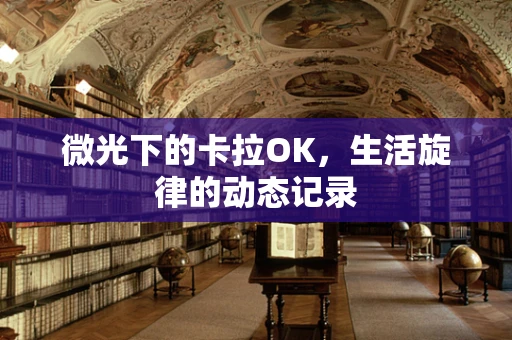 微光下的卡拉OK，生活旋律的动态记录