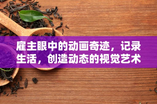 雇主眼中的动画奇迹，记录生活，创造动态的视觉艺术