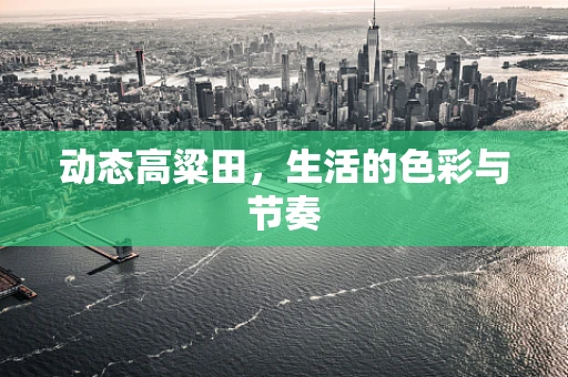 动态高粱田，生活的色彩与节奏