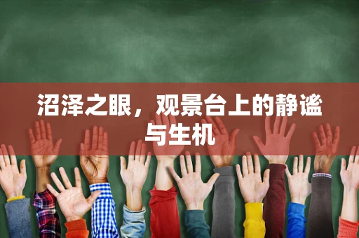 沼泽之眼，观景台上的静谧与生机