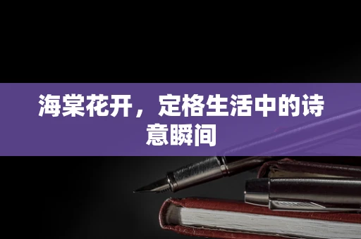 海棠花开，定格生活中的诗意瞬间