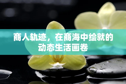 商人轨迹，在商海中绘就的动态生活画卷