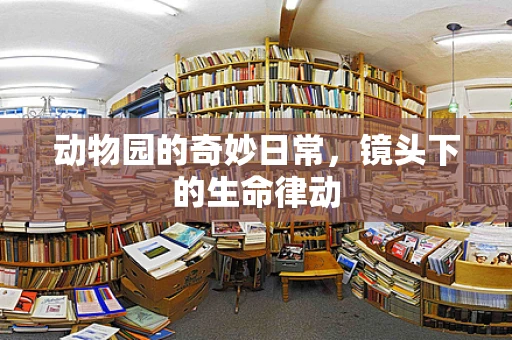 动物园的奇妙日常，镜头下的生命律动