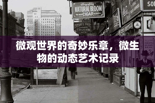 微观世界的奇妙乐章，微生物的动态艺术记录