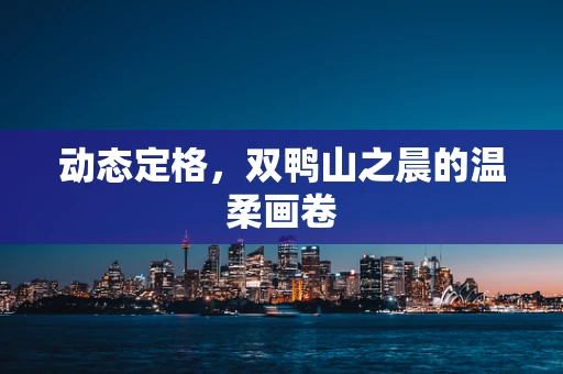 动态定格，双鸭山之晨的温柔画卷