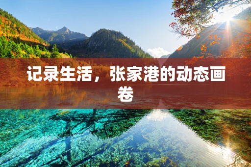 记录生活，张家港的动态画卷