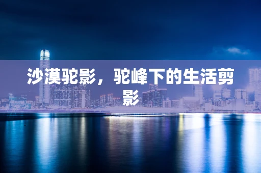 沙漠驼影，驼峰下的生活剪影