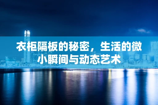 衣柜隔板的秘密，生活的微小瞬间与动态艺术