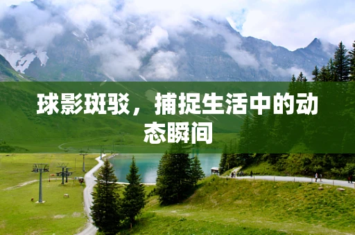 球影斑驳，捕捉生活中的动态瞬间