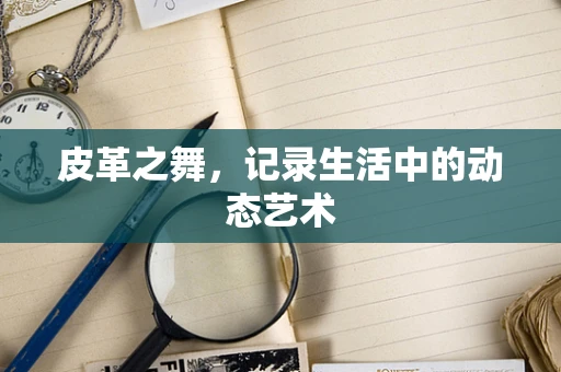 皮革之舞，记录生活中的动态艺术