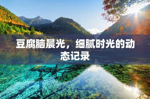豆腐脑晨光，细腻时光的动态记录