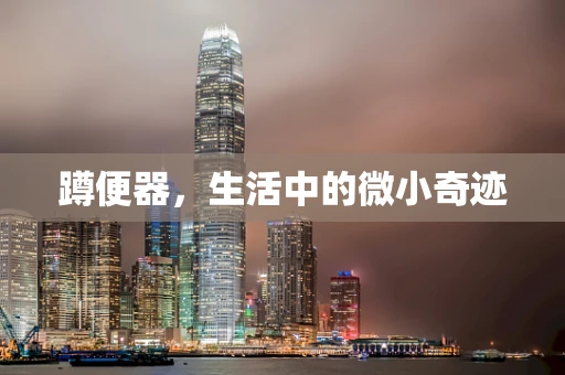 蹲便器，生活中的微小奇迹