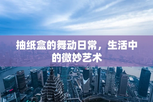 抽纸盒的舞动日常，生活中的微妙艺术