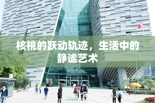 核桃的跃动轨迹，生活中的静谧艺术