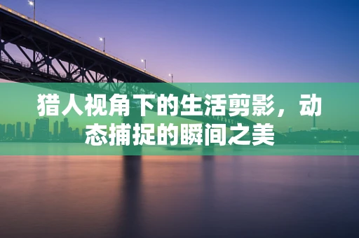 猎人视角下的生活剪影，动态捕捉的瞬间之美
