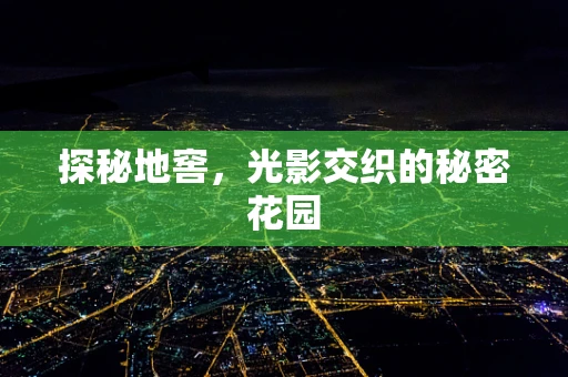 探秘地窖，光影交织的秘密花园