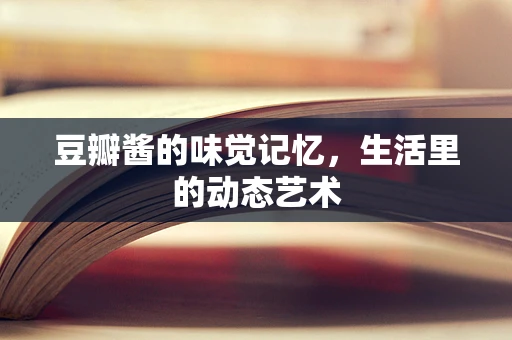 豆瓣酱的味觉记忆，生活里的动态艺术