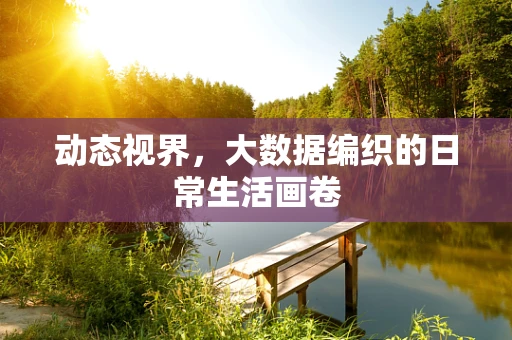 动态视界，大数据编织的日常生活画卷