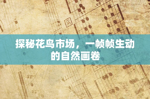 探秘花鸟市场，一帧帧生动的自然画卷
