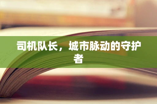 司机队长，城市脉动的守护者