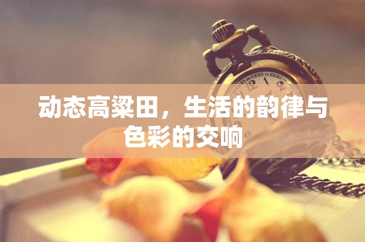 动态高粱田，生活的韵律与色彩的交响