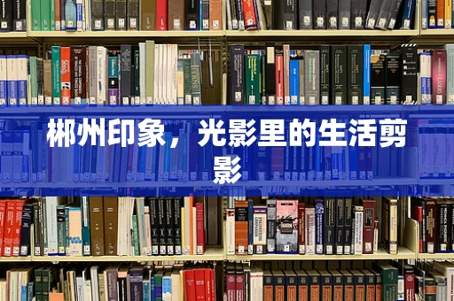 郴州印象，光影里的生活剪影