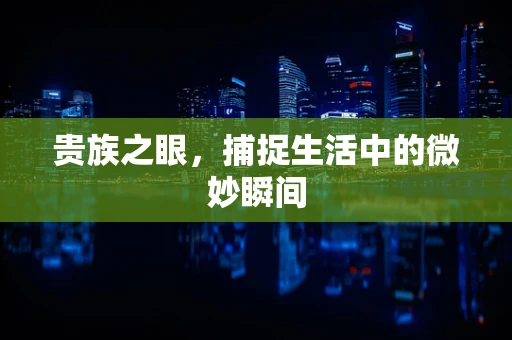 贵族之眼，捕捉生活中的微妙瞬间