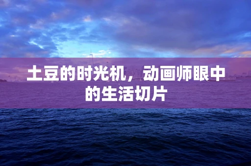 土豆的时光机，动画师眼中的生活切片