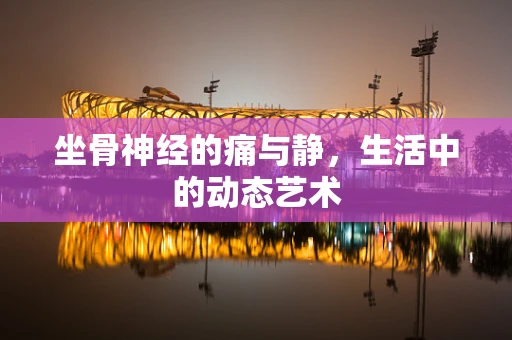 坐骨神经的痛与静，生活中的动态艺术