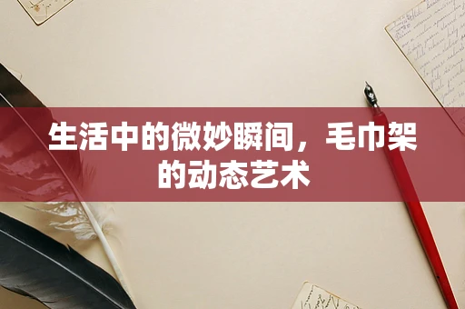 生活中的微妙瞬间，毛巾架的动态艺术