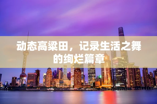 动态高粱田，记录生活之舞的绚烂篇章