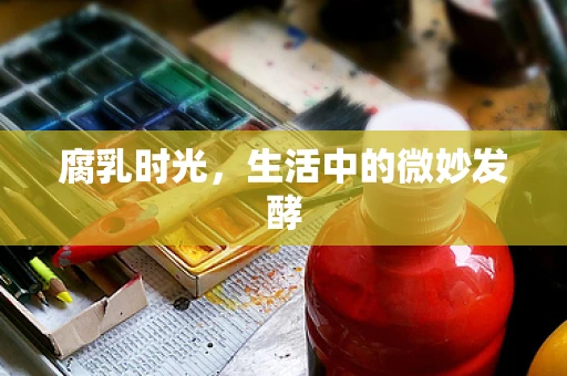 腐乳时光，生活中的微妙发酵