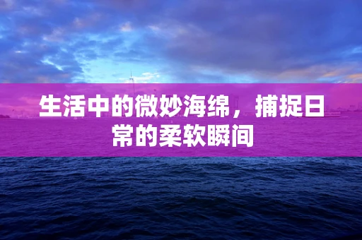 生活中的微妙海绵，捕捉日常的柔软瞬间
