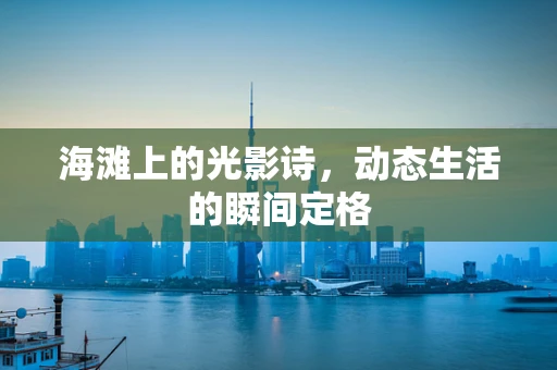 海滩上的光影诗，动态生活的瞬间定格