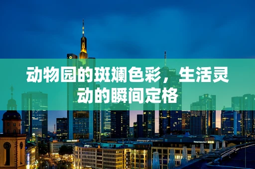 动物园的斑斓色彩，生活灵动的瞬间定格