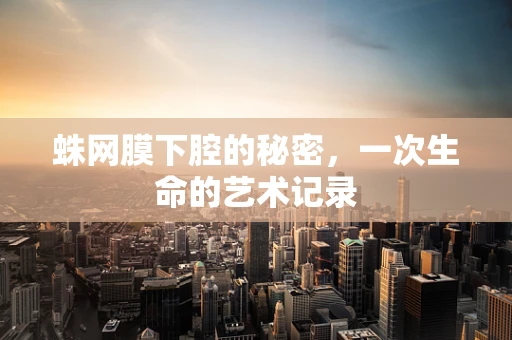 蛛网膜下腔的秘密，一次生命的艺术记录