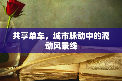 共享单车，城市脉动中的流动风景线