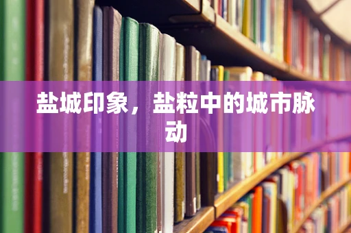 盐城印象，盐粒中的城市脉动